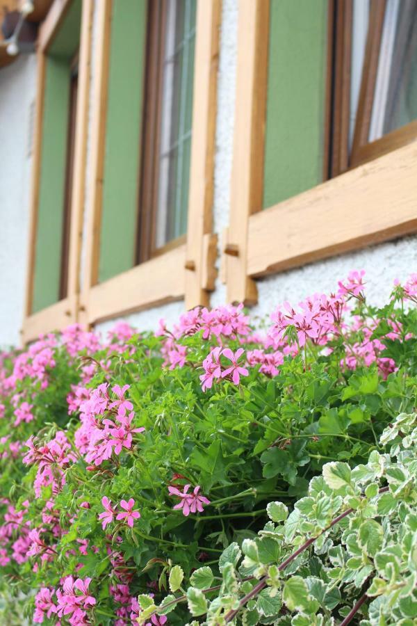 Landgasthof Ritter Orsingen-Nenzingen Екстер'єр фото